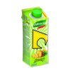 Valencia Maxi Pineapple 250mlx24